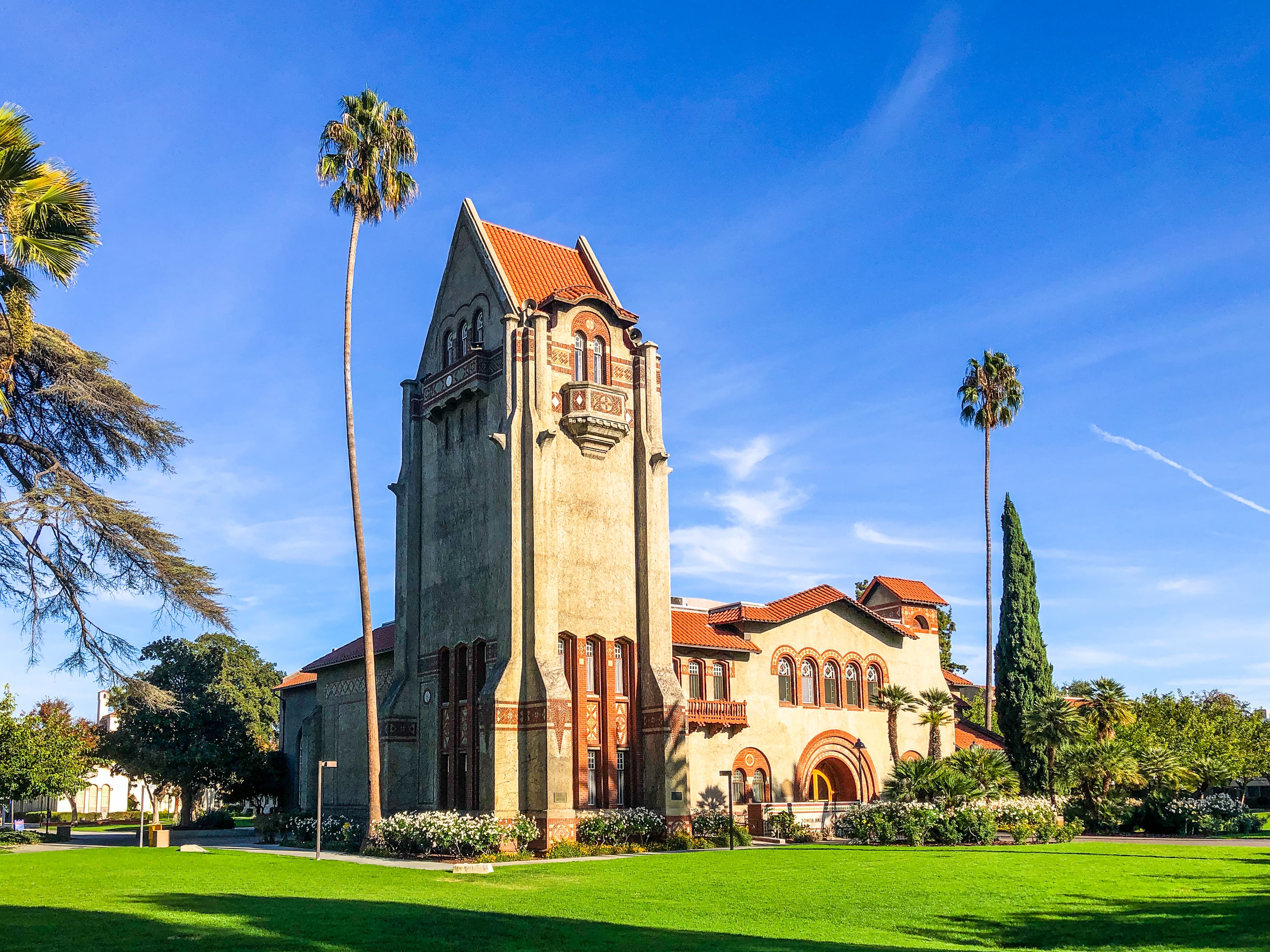 SJSU Tower Background